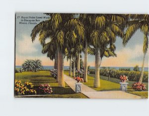 Postcard Royal Palm Lined Walk to Biscayne Bay Miami Florida USA