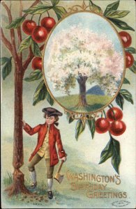 George Washington Patriotic Axe Cherry Tree Embossed c1910s Postcard