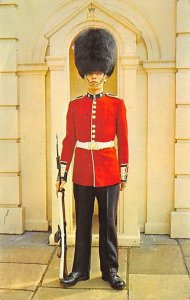 Sentry of the Irish Guards Clarence House, London Unused 