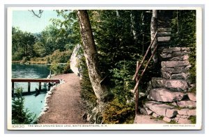 Saco Lake Trail White Mountains NH UNP Detroit Publishing DB Postcard H30