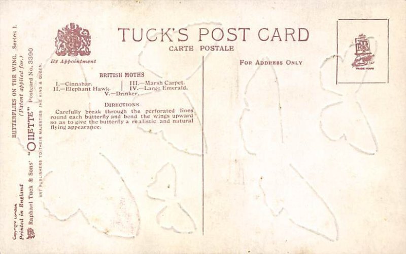 British Moths British Moths