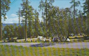 Canada Peach Orchard Park Campground Okanagan Valley British Columbia