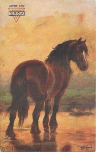 American YMCA Artist impression Beautiful horse Tuck postcard 8139