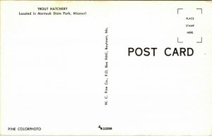 Trout Hatchery Montauk State Park Missouri MO Postcard VTG UNP Vintage Unused 