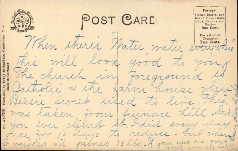 Cambridge NY Birdseye View c1910 Postcard