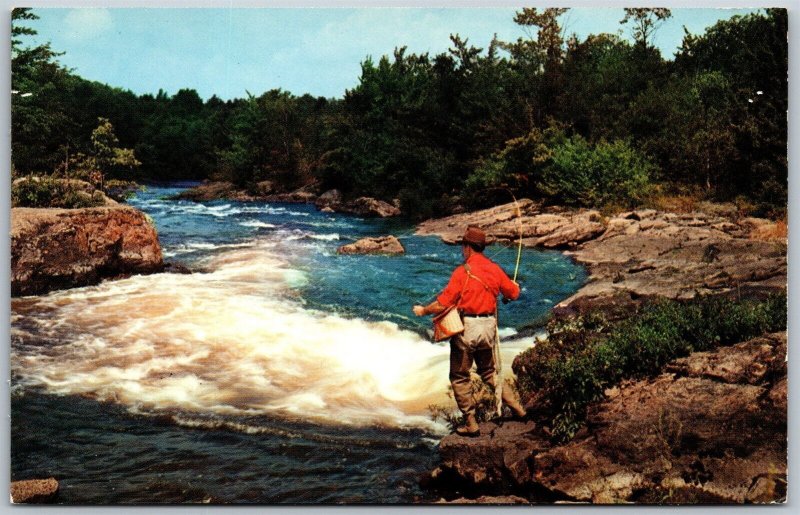 Vtg Pocahontas Arkansas AR Fly Fishing River Swift Waters 1950s View Postcard
