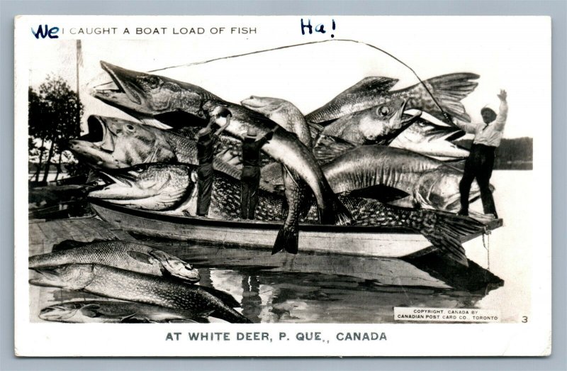 WHITE DEER QUE CANADA EXAGGERATED FISHING VINTAGE REAL PHOTO POSTCARD RPPC