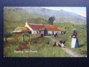 Farming Country Life FEEDING THE FOWLS - Chicken & Hen c1904 Postcard by J.B.W.