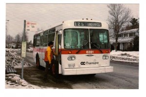 Transpo, Gloucerter North Bus, Blackburn Hamlet, Ottawa, Ontario