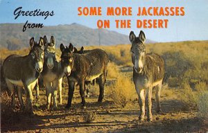 On the Desert California, USA Donkey 1965 