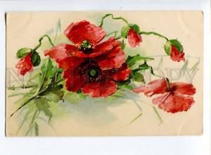 256941 Colorful POPPY Flowers Bouquet by C. KLEIN vintage PC