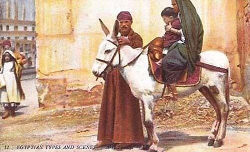 Egyptian Arab Family On Donkey Early Egypt Postcard