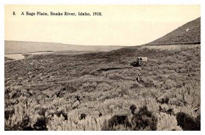 Postcard PANORAMIC SCENE Snake River Idaho ID AP1481