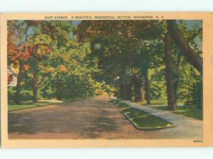 Linen TREES ALONG STREET Rochester New York NY n1350