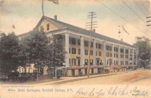 Richfield Springs New York Hotel Earlington Street View Antique Postcard K87349