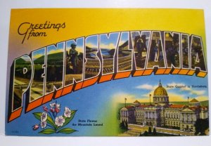 Greetings From Pennsylvania Large Big Letter Postcard Mountain Laurel Flower PA