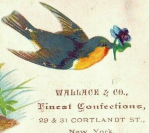 1880's Embossed Wallace & Co. Fine Confections Candy Bird Violets P186
