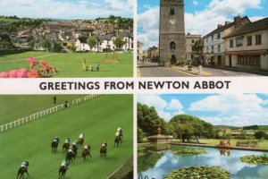 Greetings From Newton Abbot Horse Race Racing Postcard