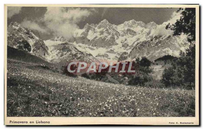 Old Postcard Primavera In Liebana