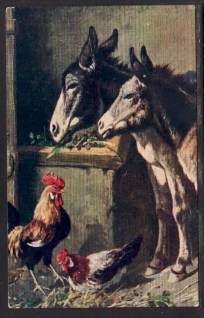 Chickens Mules Painting Postcard 4109