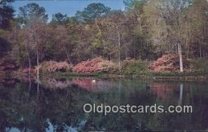 Mirror Lake, Bellingrath Gardens - Mobile, Alabama AL