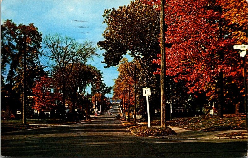 VINTAGE POSTCARD MURRAY STREET SCENE LOOKING NORTH FROM STANDPIPE BATHURST N.B.