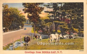 Greetings from - Roosa Gap, New York