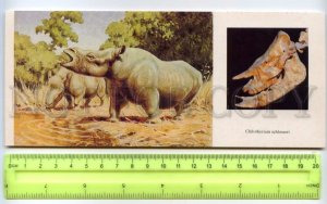 477692 USSR 1989 year Flerov dinosaurs rhinoceros chilotherium postcard