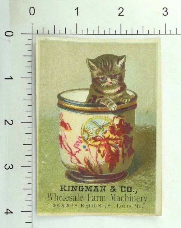 1880's Kingman & Co. Farm Machinery Adorable Kitten In Asian Tea Cup P92