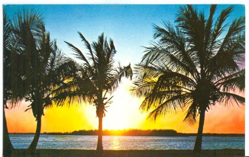 USA, Sunrise, Sunset in Florida, unused Postcard 