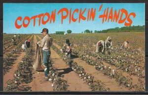 Cotton Pickin' Hands - [MX-470]