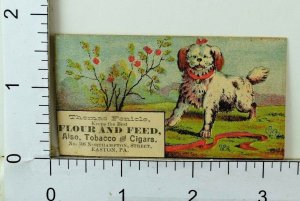 Thomas Fenicle Flour Feed Tobacco & Cigars White Fluffy Dog Playing F65