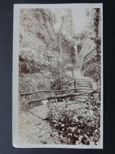 Isle of Wight SHANKLIN CHINE - Old RP by F.N. Broderick of Ryde (2)