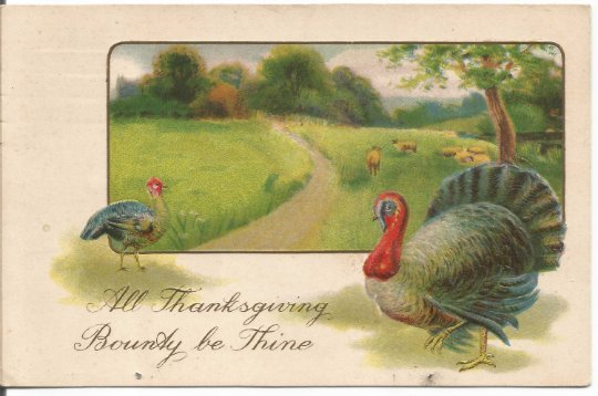 Turkey and Hen in Country Meadow Scene Sheep Grazing in Background Vintage