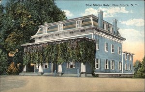 Blue Stores NY Hotel c1910 Postcard