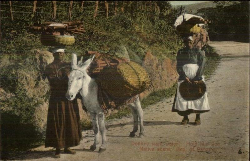 Panama - Native Women Carry Wood w/ Donkey c1910 Postcard