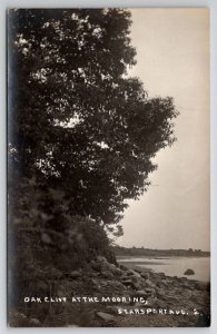 Maine Oak Cliff At The Mooring Searsport Ave ME RPPC Real Photo Postcard B31