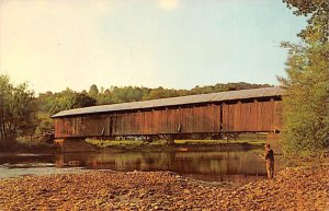 Delaware River Downsville, New York USA Postcard