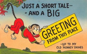 Greetings, Old Monkey Shines Monkey Unused 