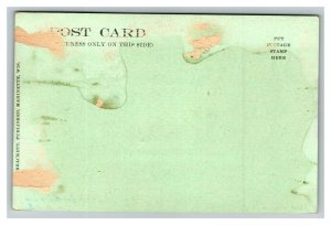 Vintage 1900's Postcard Panoramic View of State Normal School Marquette Michigan