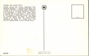 Vintage Postcard Nevada Large Letter JZ11