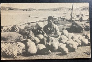 Mint New Caledonia Real Picture Postcard RPPC Native Islander With The Produce