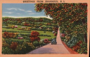 Greetings from Shannock, R.I. PC