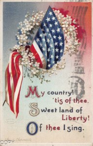 Patriotic WWI~the Star-Spangled Banner ~ Tuck Postcard BD162