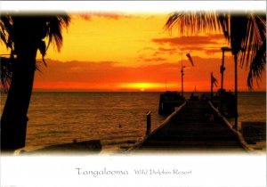Moreton Island Australia TANGALOOMA~Wild Dolphin Resort PIER~SUNSET 4X6 Postcard