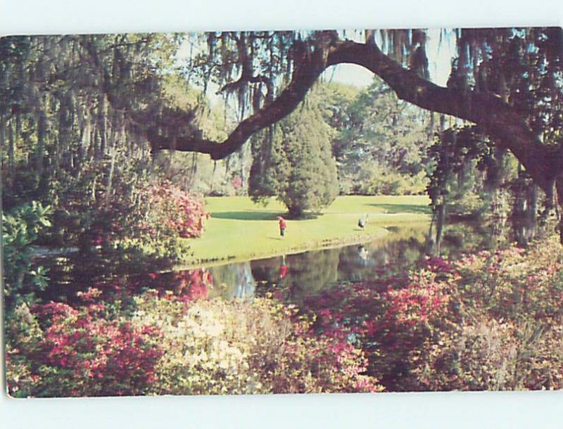 Unused Pre-1980 MAGNOLIA GARDENS Charleston South Carolina SC hn0932