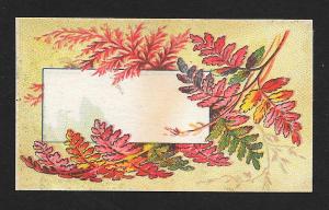 VICTORIAN TRADE CARDS (9) Butler Flower Baskets & Leaves