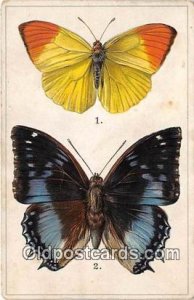 A.B.C. Evreday Bread, South Africa Tucks Charaxes Smaragdalis, Sierra Leone W...