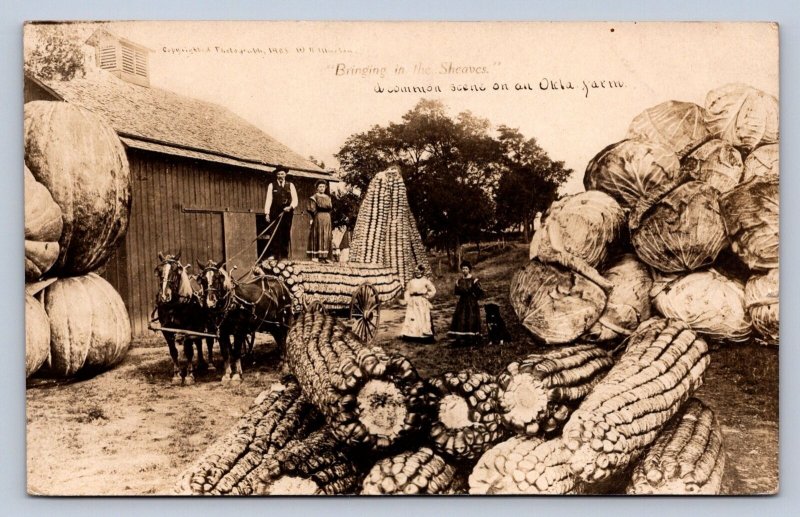 J98/ Roosevelt Oklahoma RPPC Postcard c1910 Exaggeration Corn Cobs  234