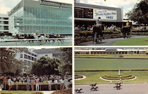 Calder Race Track Home of the Florida Stallion Stakes - Miami, Florida FL  
